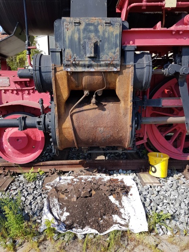 Arbeitseinsatz am 5.6.2021